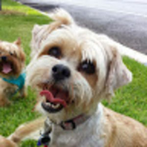 Meet your Posher, Kiley